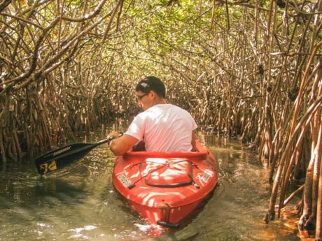 Get out of the city and kayak along the Paraná River during your trip to Rosario.